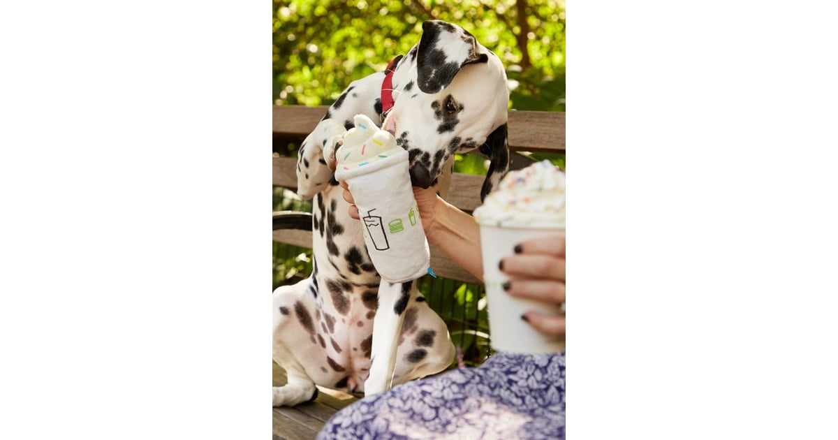 milkshake dog toy