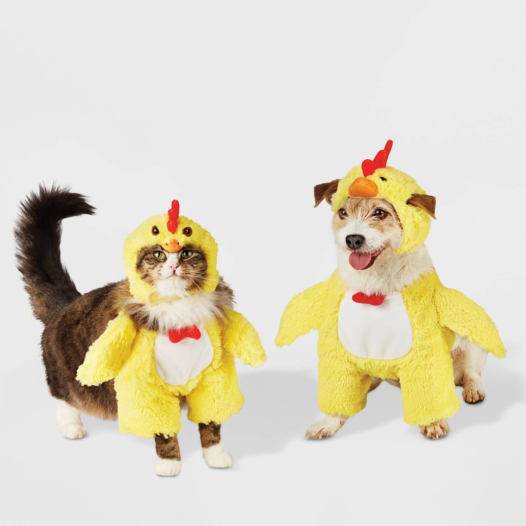 The Cutest Chick On the Block: Hyde & EEK! Boutique Chicken Frontal Dog and Cat Costume