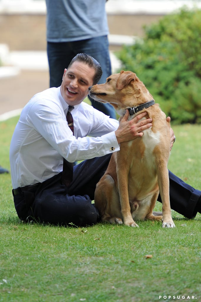 Tom Hardy With a Dog on the Set of Legend