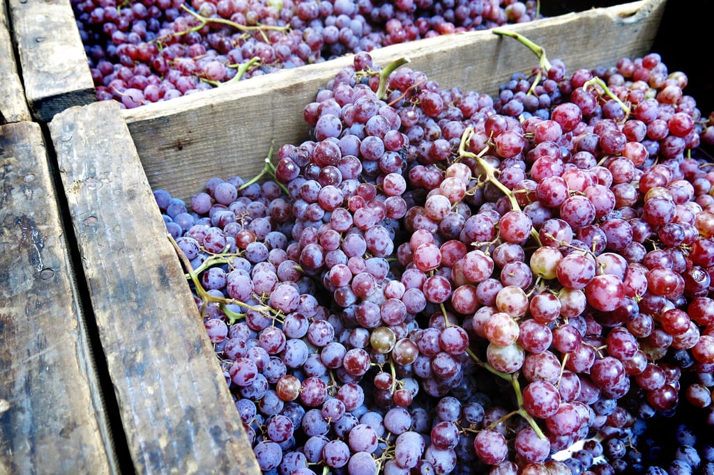 Fall Fruit and Vegetable DIY Recipes