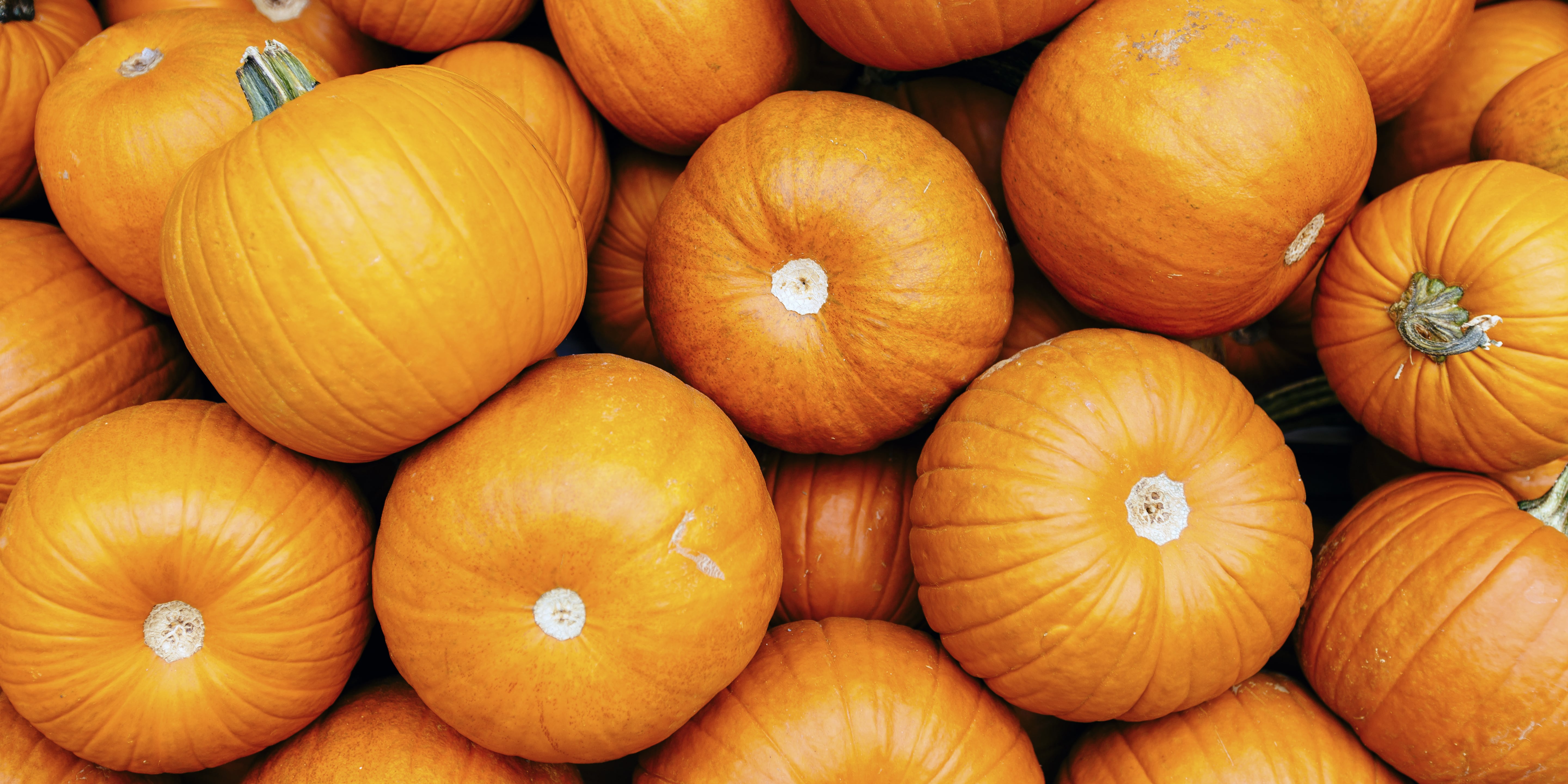 Can You Eat Pumpkin on a LowCarb Diet? POPSUGAR Fitness