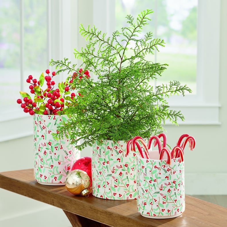 Soft Pine Tree in Pot With Festive Foliage Vases