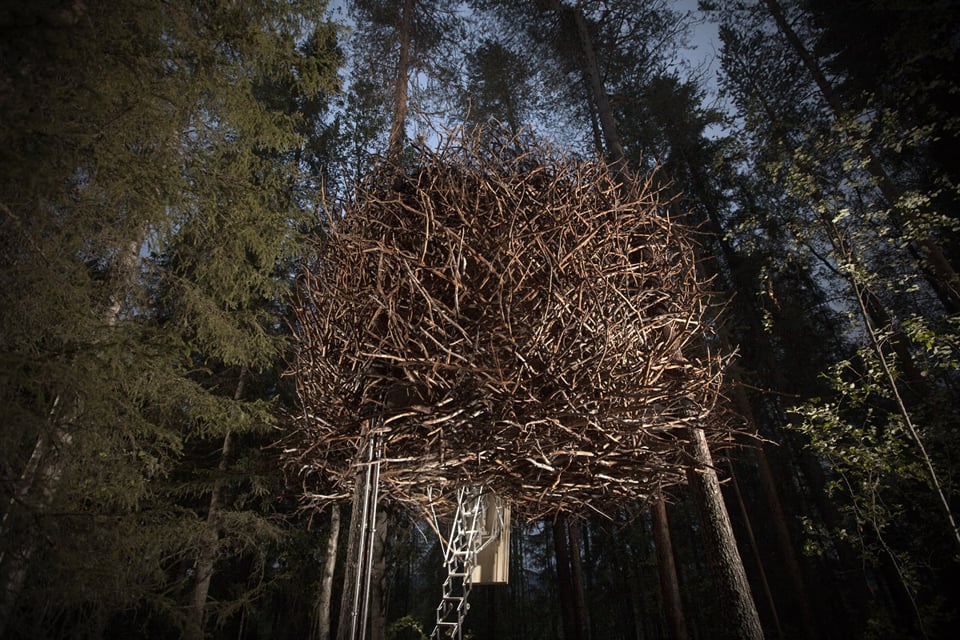 The Bird’s Nest, Treehotel, Sweden