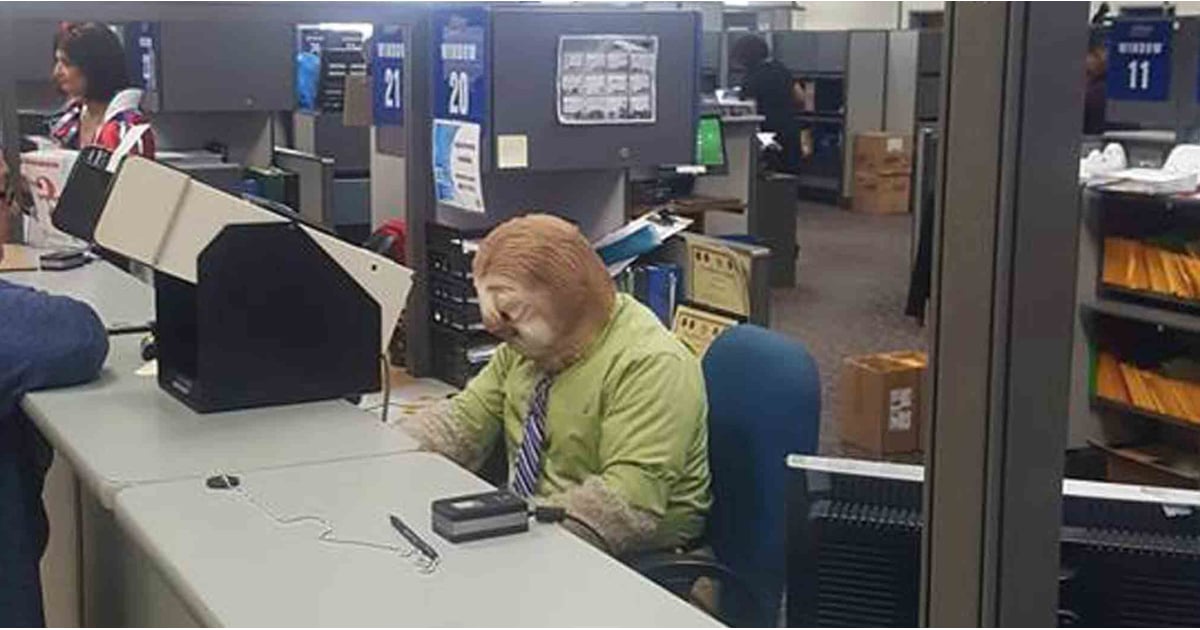 Person Wears Sloth Costume to the DMV | POPSUGAR Family