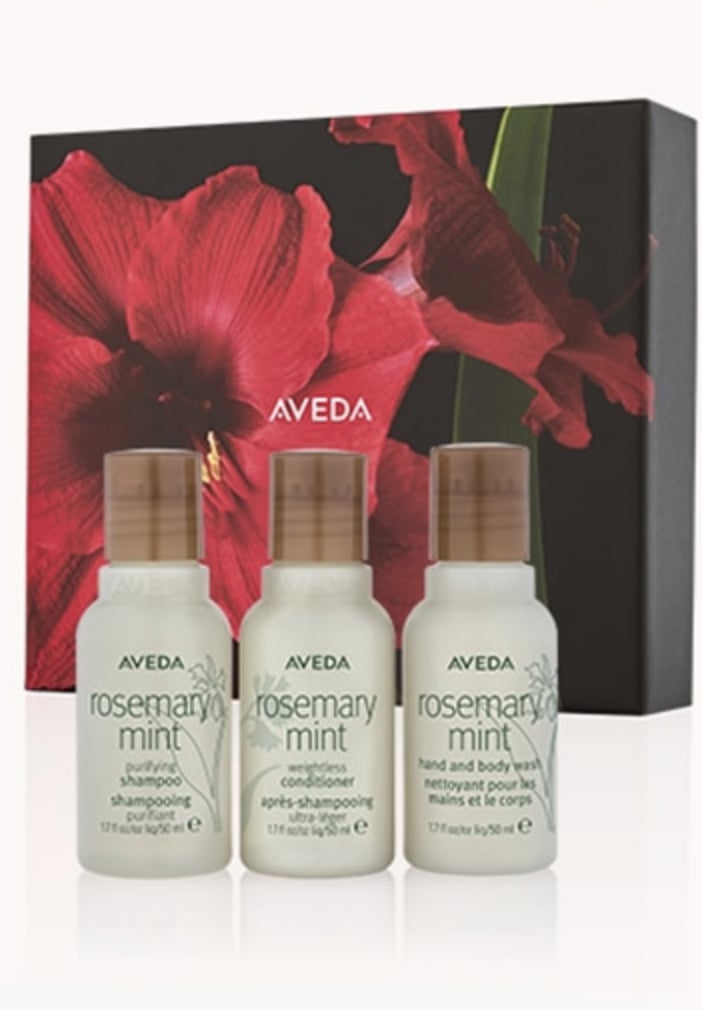 Aveda Rosemary Mint Travel Trio