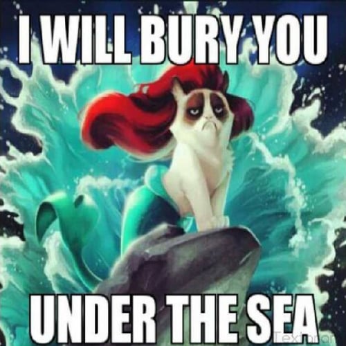 The Internet's Most Hilarious Little Mermaid Memes