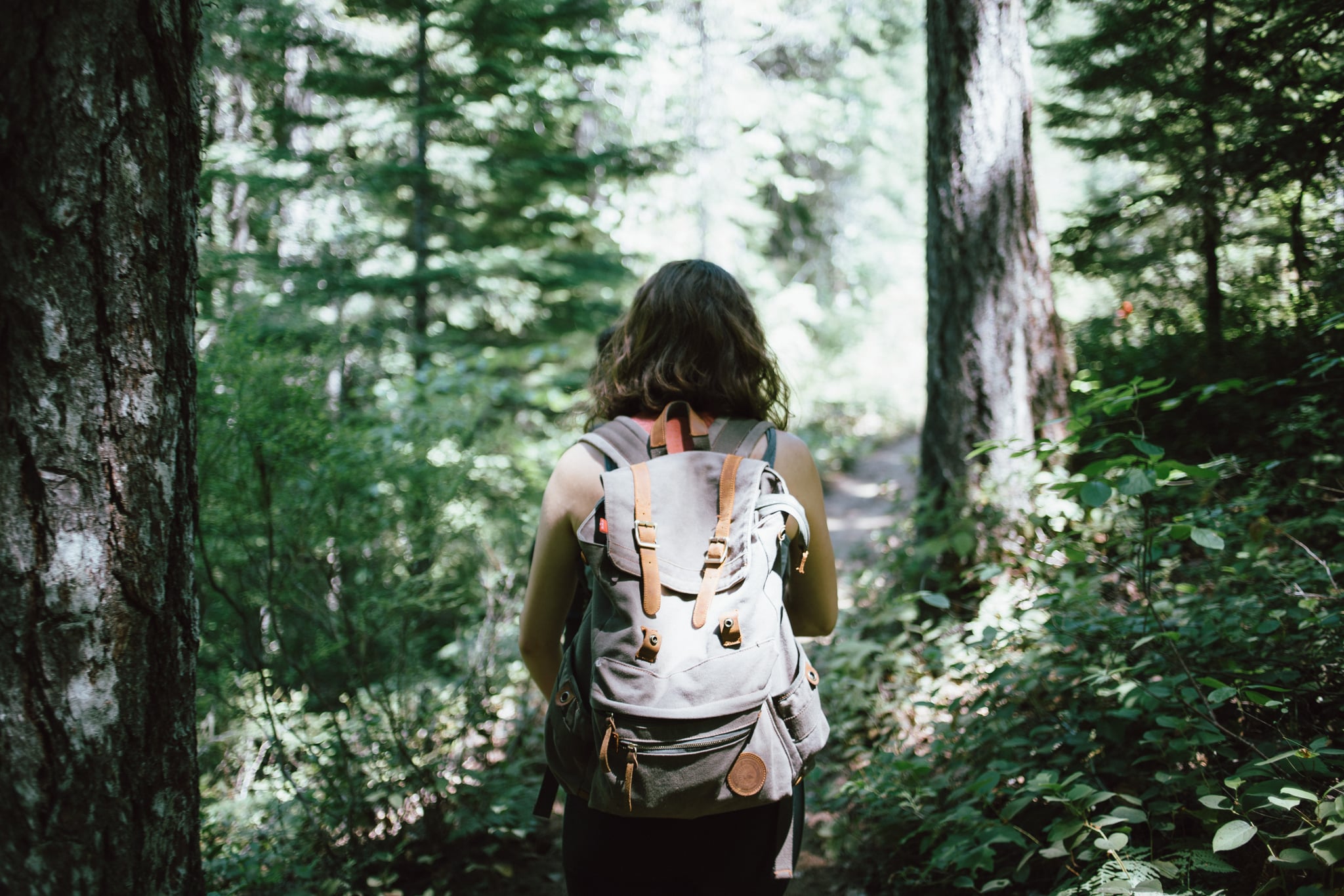 Walking in the forest