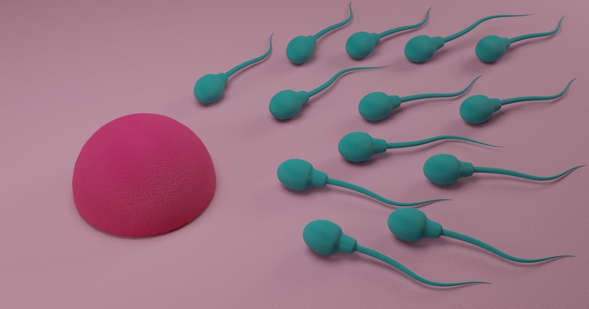 What Is Fertility Lube, and Can It Help You Get Pregnant? POPSUGAR Family