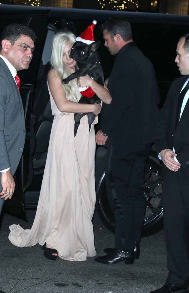 Lady Gaga and Taylor Kinney Dress Their Dogs Like Santa