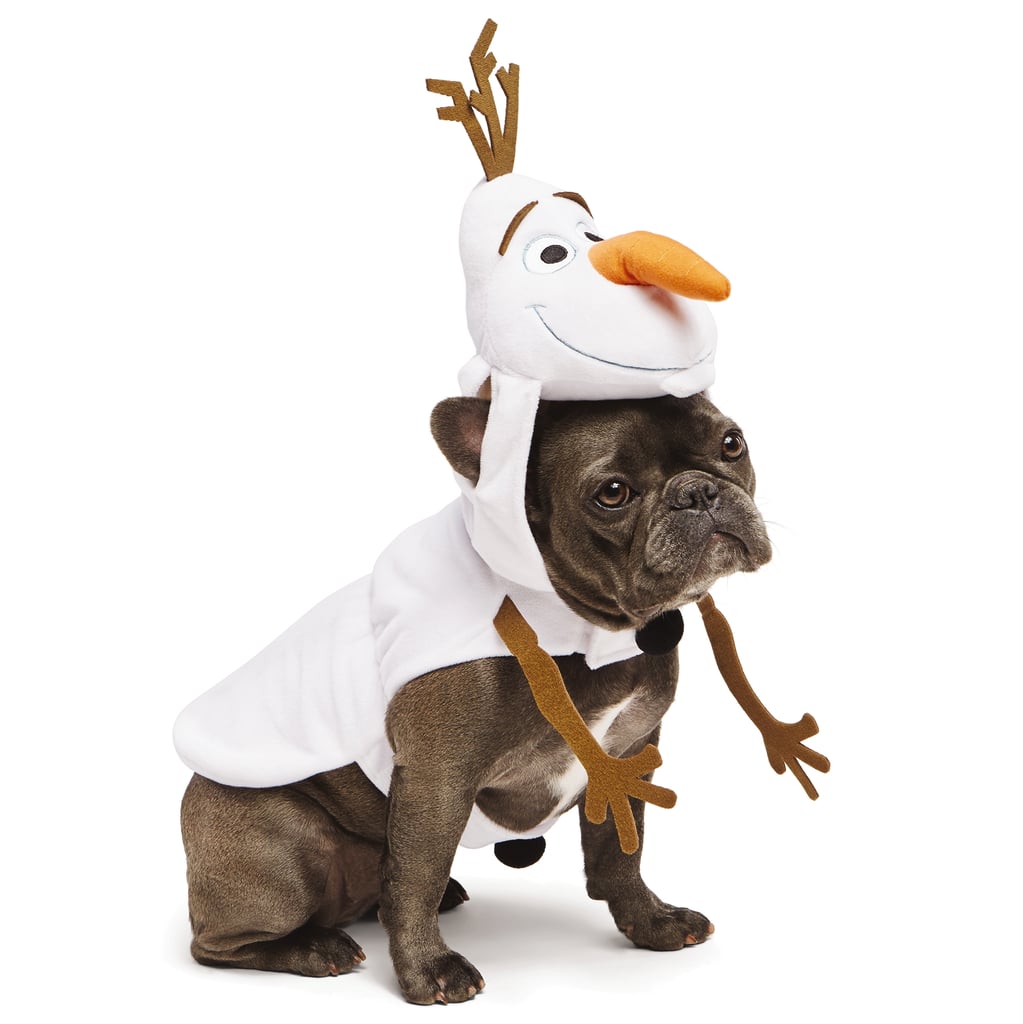 Olaf Dog Costume
 Olaf Disney Dog Costumes