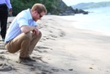Prince Harry Looks Like a Giddy Little Kid as He Releases Baby Turtles Into the Sea