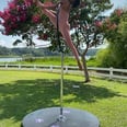 This Pole Artist's TikTok Videos Are a Must See! We Are Floored By Her Gracefulness and Strength
