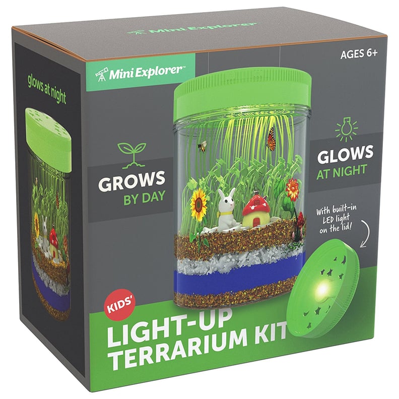 An Indoor Garden: Mini Explorer Light-up Terrarium Kit for Kids with LED Light on Lid