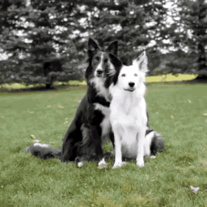 You know that no matter what happens, you have a friend for life.