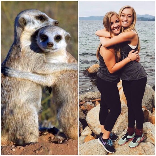 Sorority Girls Posing Like Meerkats Meme