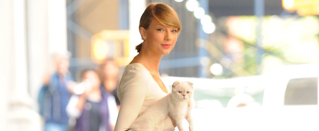 Taylor Swift Dressing Like Cher From Clueless