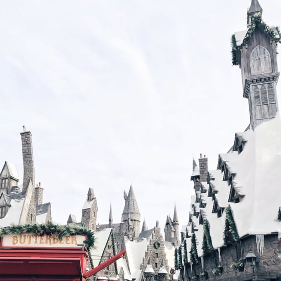 Wizarding World of Harry Potter Christmas Experience