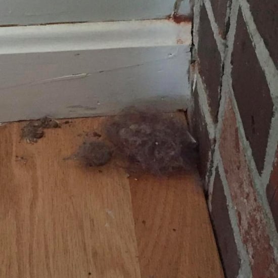What a Mom Learned From Dust Bunnies