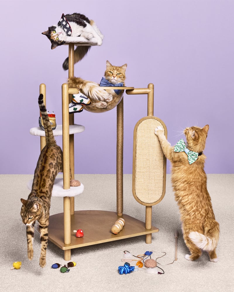 Target Unveils The Cuddle Collab Pet Collection, Coming Soon