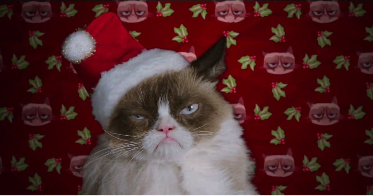 Grumpy Cat's Worst Christmas Ever Movie Trailer | POPSUGAR Entertainment