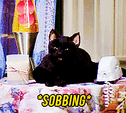 And in Sabrina, the Teenage Witch