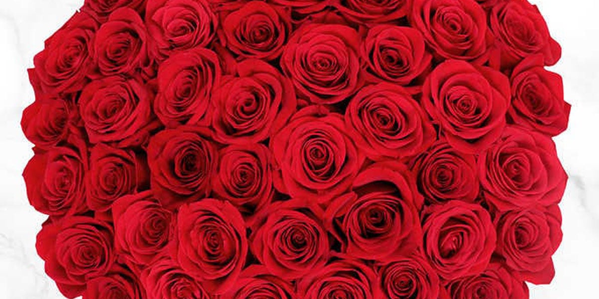 Costco Is Selling 50 Roses For Valentine's Day For 40! POPSUGAR Love