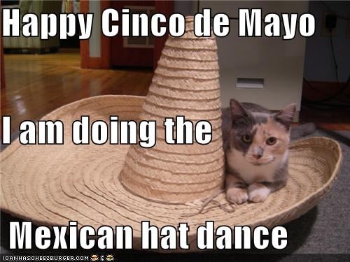 Meow de Mayo. 
Source: Cheezburger