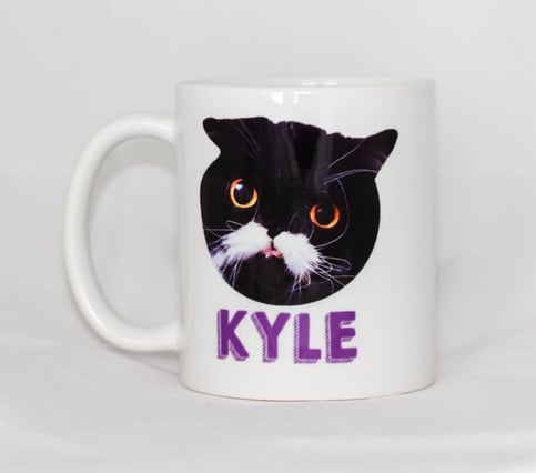 My Cat Kyle Mug