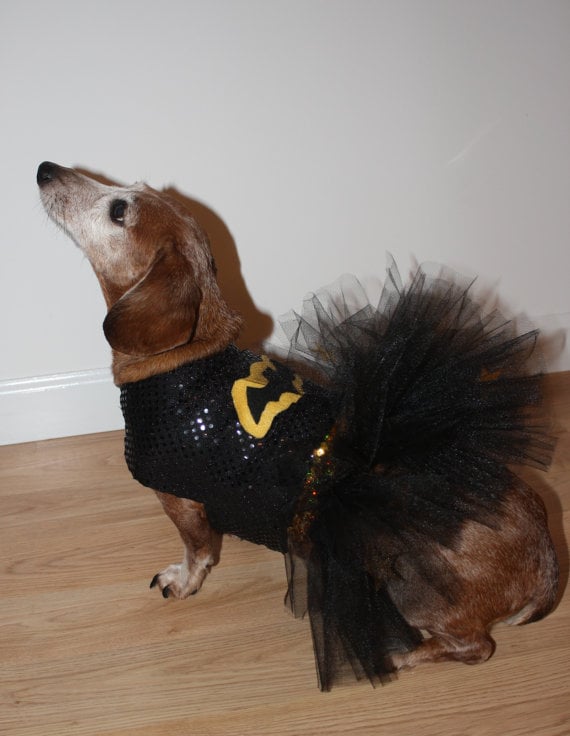 Batgirl Superhero Costumes For Dogs POPSUGAR Pets Photo 6