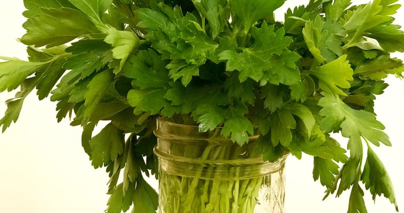 How to Make Herbs Last Longer