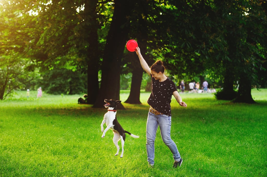 Head to the park for Frisbee