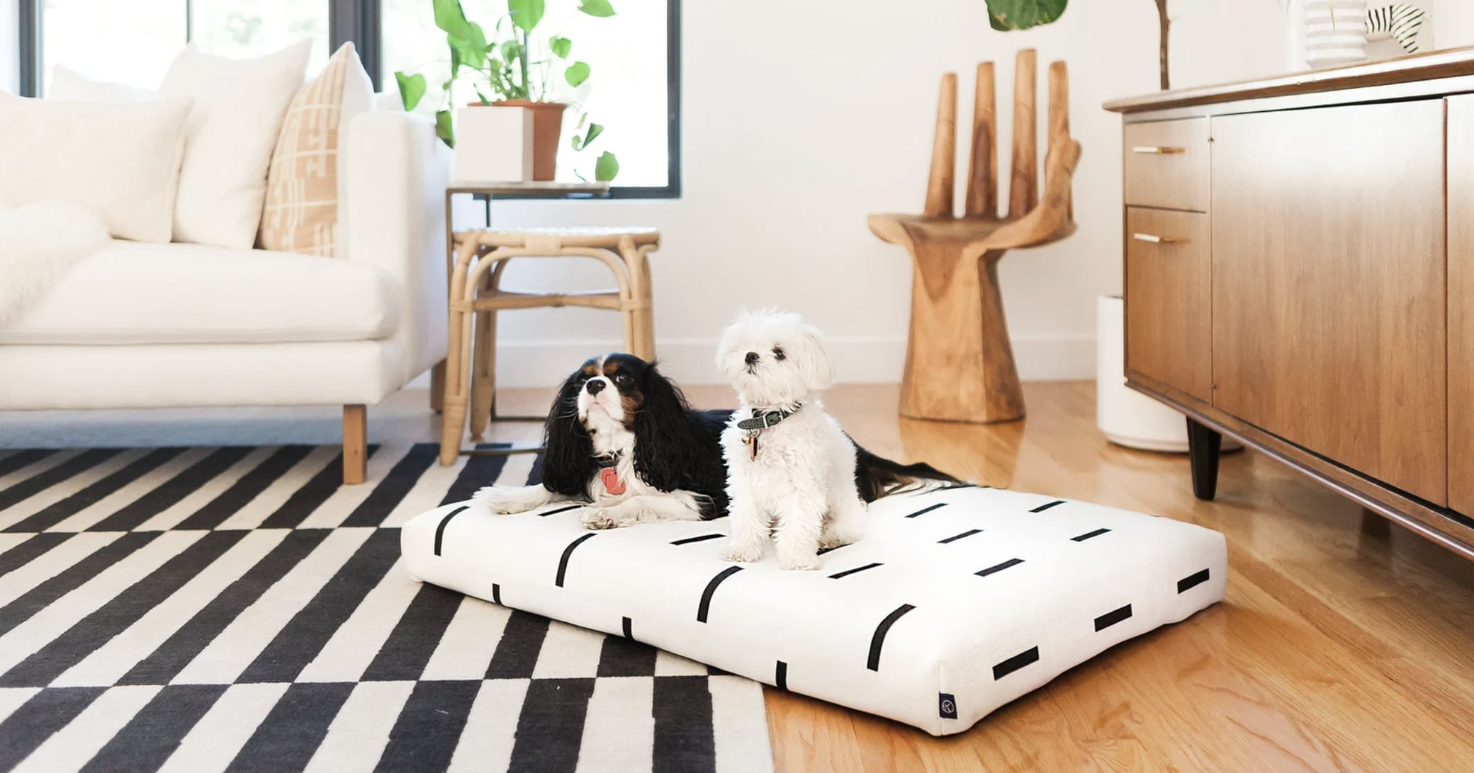 The 12 Best Gifts For Dog-Lovers