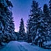 15+ Beautiful Photos of Winter