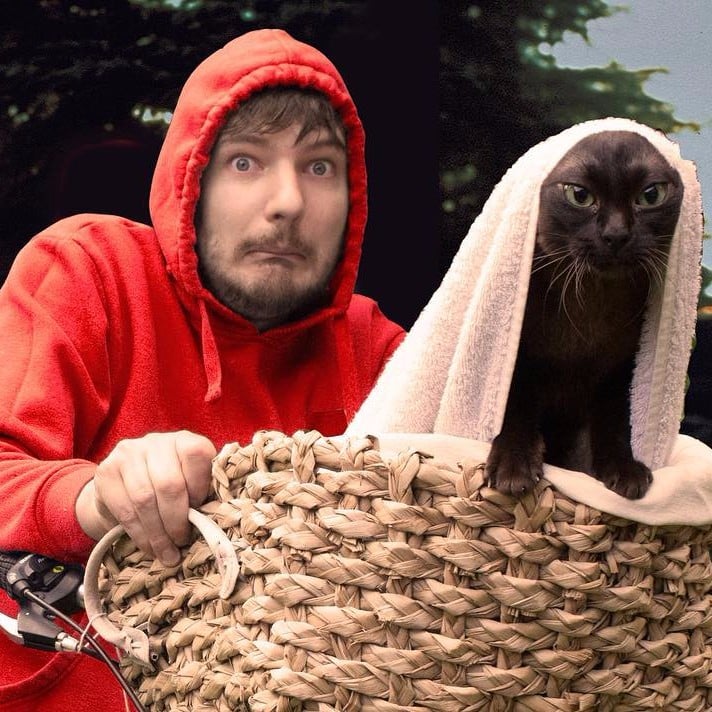 Guy Re Creates Movie Scenes With His Cats Popsugar Pets