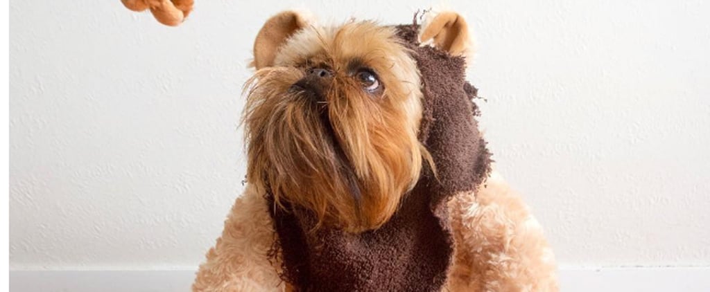 Digby van Winkle Instagram Account