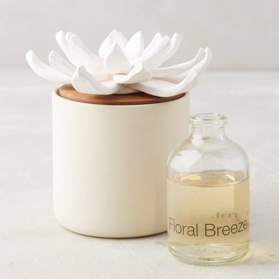 Best Diffusers For Your Home