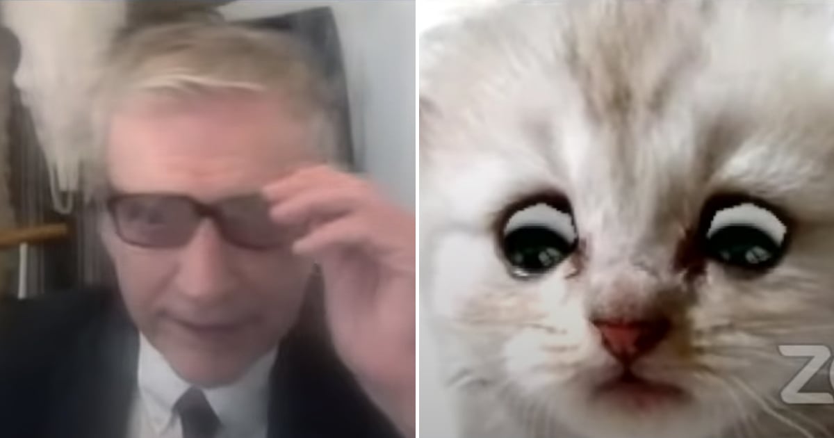 cat filter on zoom call