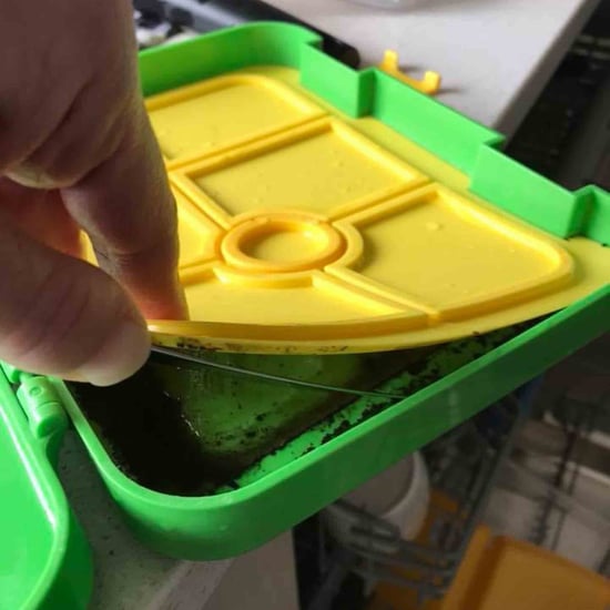 Mom's Warning About Cleaning Lunch Boxes