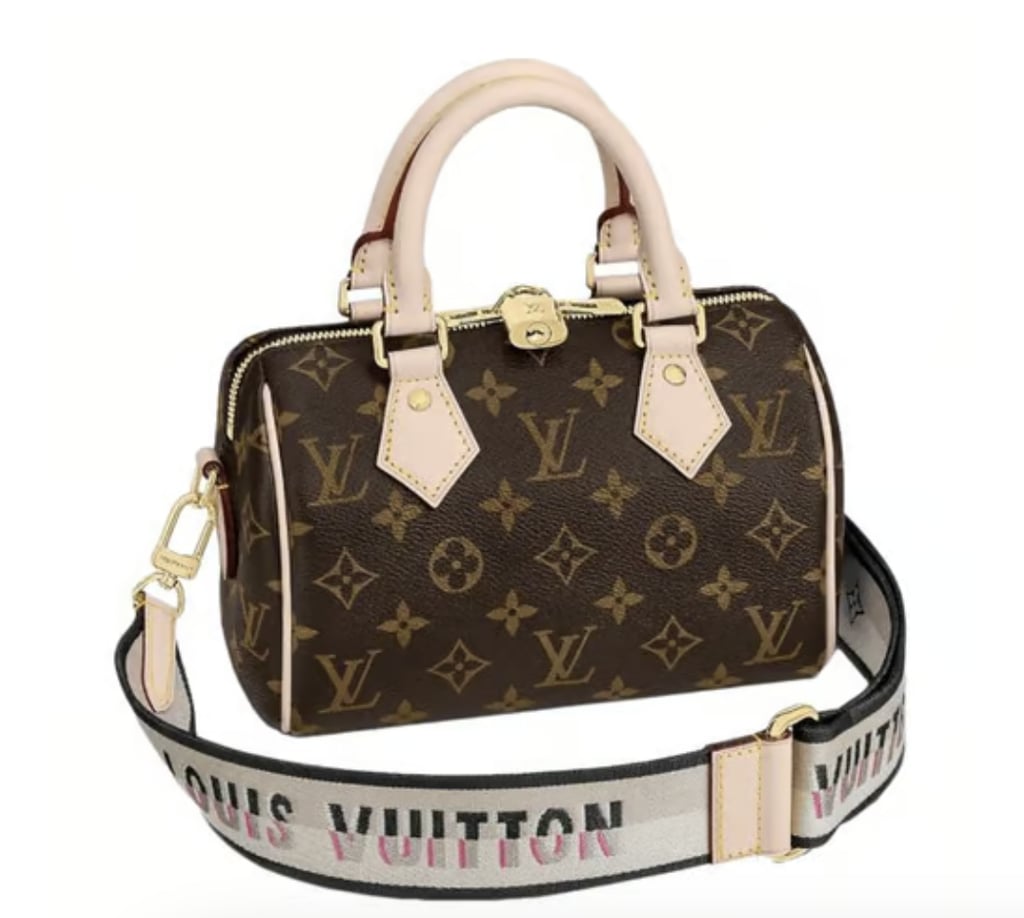 Louis Vuitton Speedy Cloth Handbag
