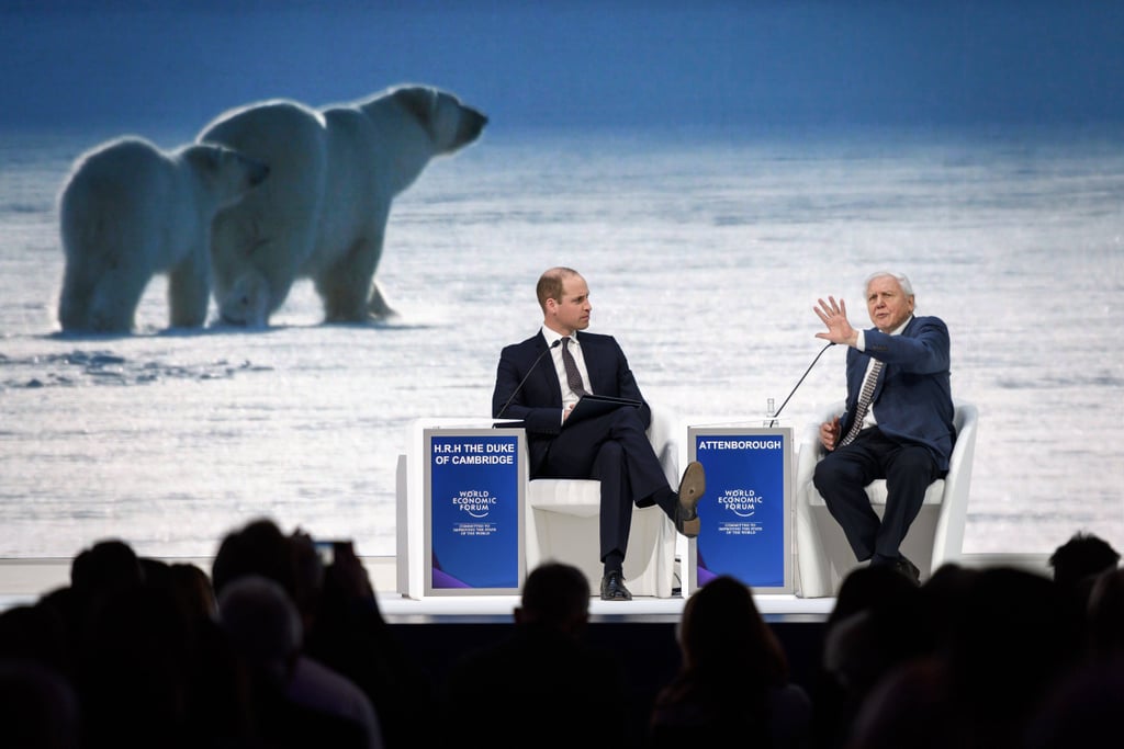 Prince William Talks With David Attenborough January 2019