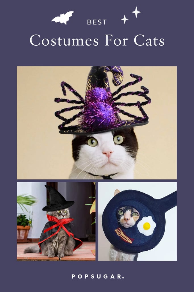 Best Cat Costumes For Halloween 2019 POPSUGAR Pets Photo 55