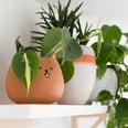 Show Your Houseplants How Much You Care With These 31 Funny Plant Names