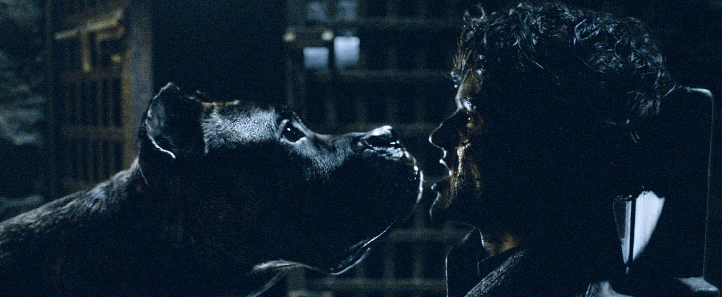 Iwan Rheon Interview About Ramsay's Death on Game of Thrones | POPSUGAR  Entertainment