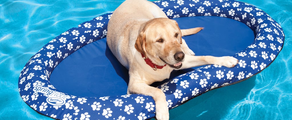 Best Pool Floats For Dogs