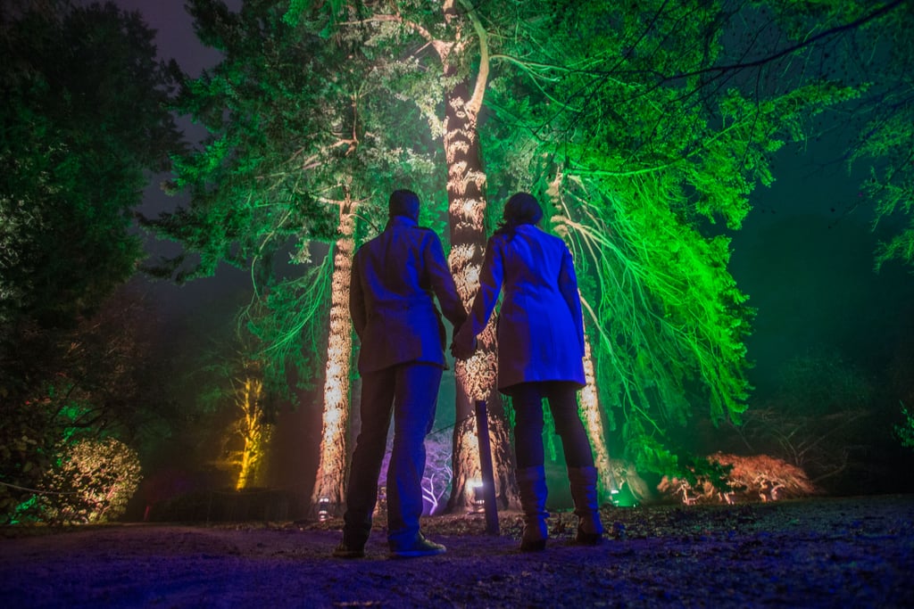 A couple held hands while checking out the Enchanted Christmas preview at the Westonbirt Arboretum in England.