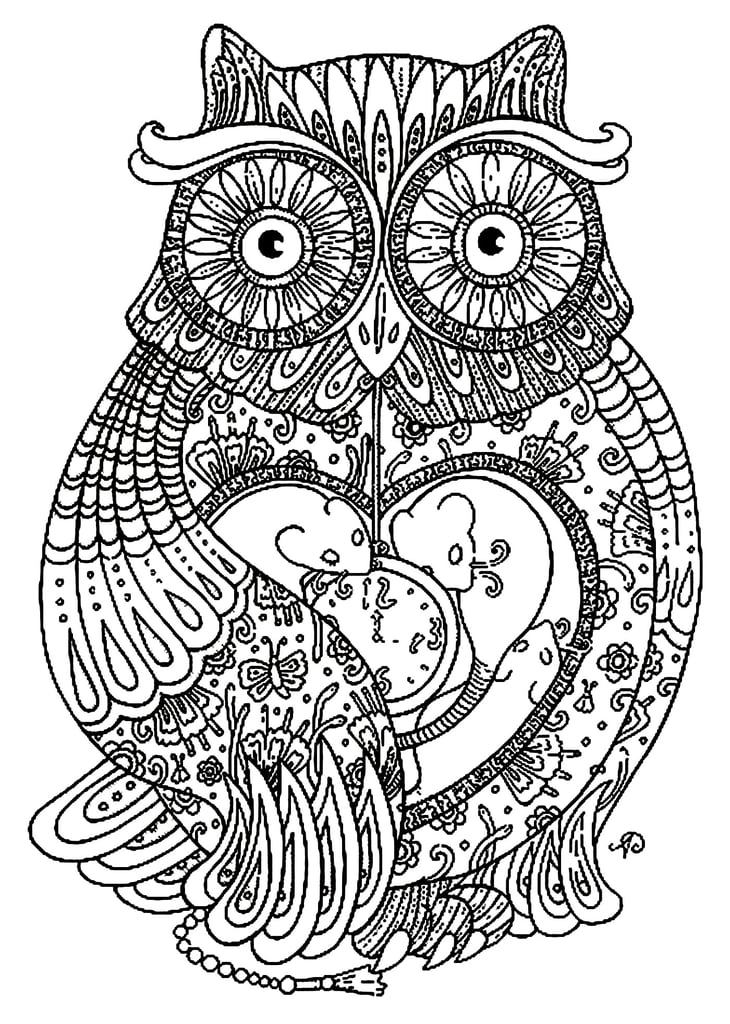 Download Get the coloring page: Owl | Free Printable Adult Coloring Pages | POPSUGAR Smart Living Photo 6