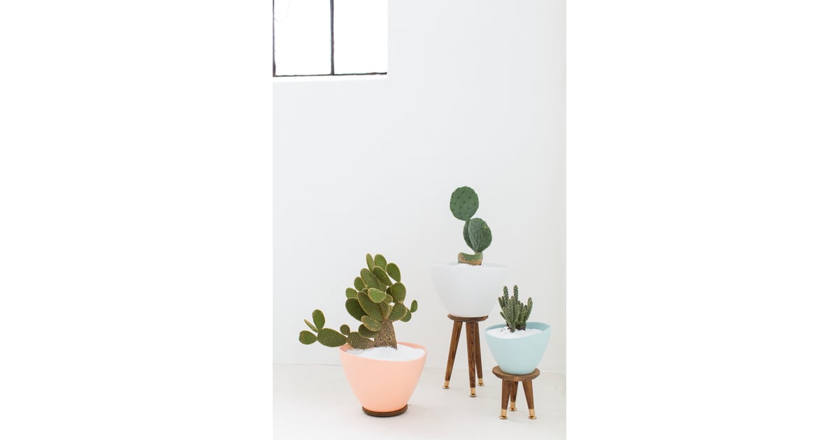 Put Together Planters DIY Projects For Your First Apartment