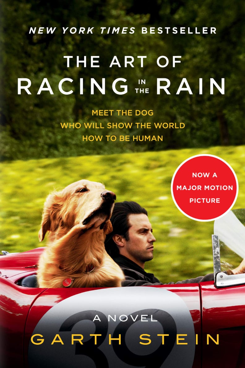 The Art of Racing in the Rain by Garth Stein