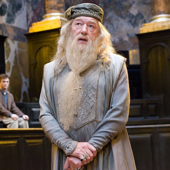How Does Albus Dumbledore Know Newt Scamander?
