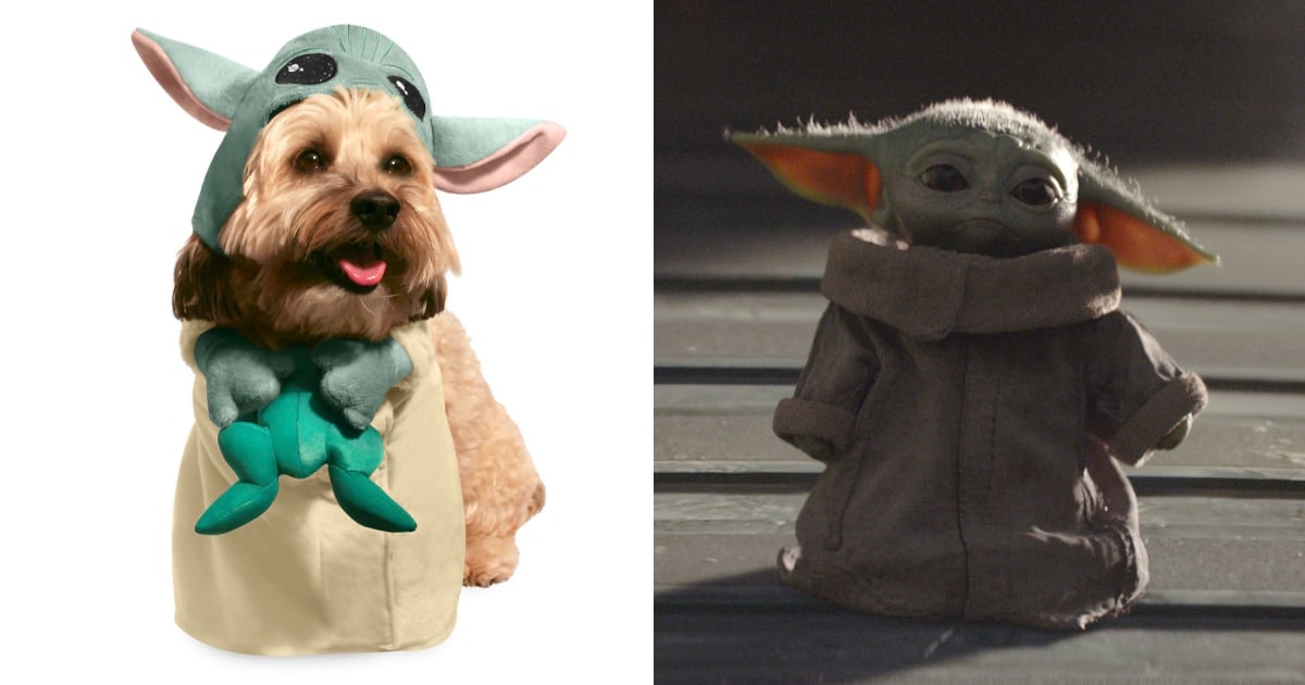 Your dog can be Baby Yoda for Halloween in this costume from PetSmart 